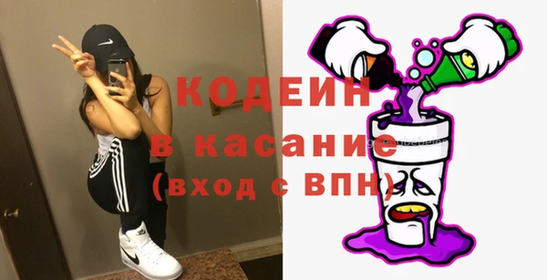 хмурый Алзамай