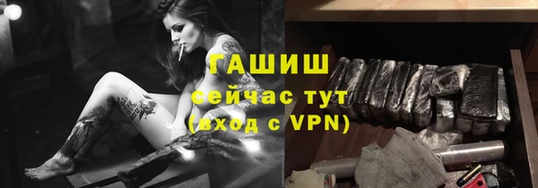 хмурый Алзамай