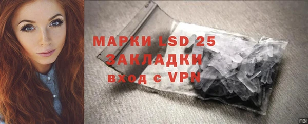 хмурый Алзамай