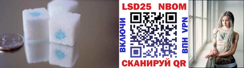 купить закладку  MEGA зеркало  shop клад  Владивосток  LSD-25 экстази ecstasy 