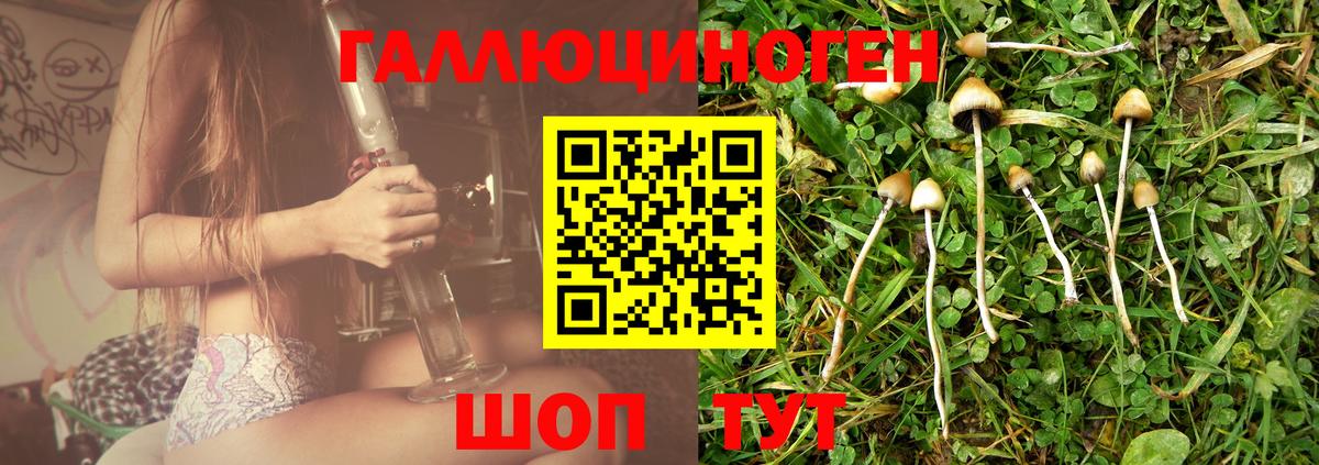 Псилоцибиновые грибы мухоморы Владивосток